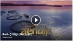 Bodrum Balık Çiftliği Havadan Bakış