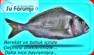 bayram